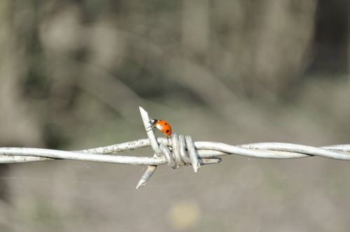 tomado de: https://www.tumblr.com/search/simplicity%20nature%20beauty