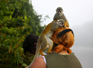 Tomado de: https://www.flickr.com/photos/kika_2007/4686889900/