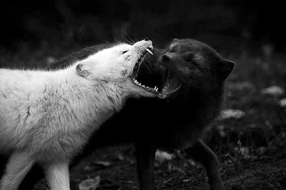 a-lo-que-te-resistes-persiste-1