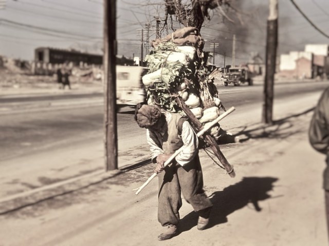 3597679005_84191cf42c_o