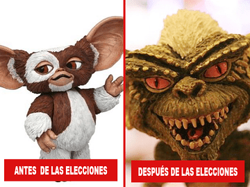 elecciones